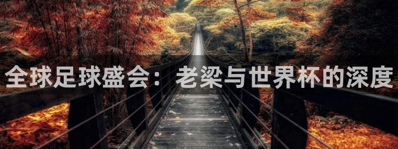 2026年足球世界杯赛程时间表：全球足球盛会：老梁与世界杯的深度