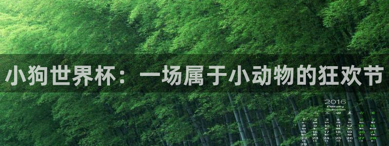 世界杯球队排名：小狗世界杯：一场属于小动物的狂欢节