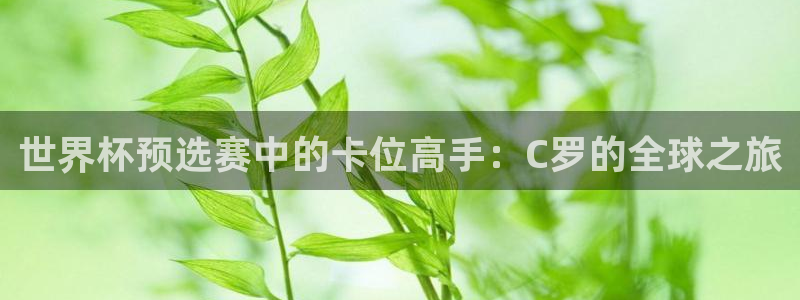 世界杯足球赛2026赛程时间：世界杯预选赛中的卡位高手：C罗的全球之旅