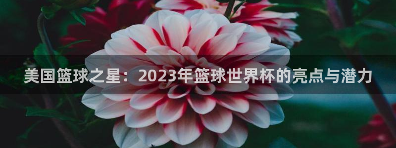 2026年世界杯赛程时间表格：美国篮球之星：2023年篮球世界杯的亮点与潜力