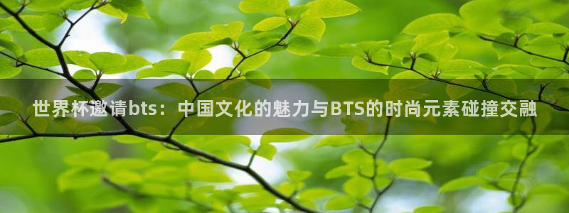 2006世界杯：世界杯邀请bts：中国文化的魅力与BTS的时尚元素碰撞交融