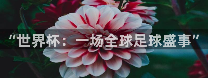 欧洲世界杯预选赛：“世界杯：一场全球足球盛事”