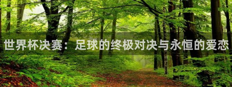 2026世预赛赛程：世界杯决赛：足球的终极对决与永恒的爱恋