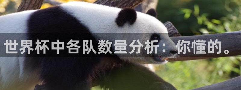 世界杯足球直播：世界杯中各队数量分析：你懂的。