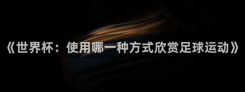 2006世界杯：《世界杯：使用哪一种方式欣赏足球运动》
