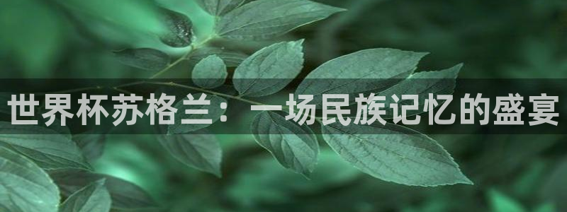 世界杯2026比赛时间表：世界杯苏格兰：一场民族记忆的盛宴