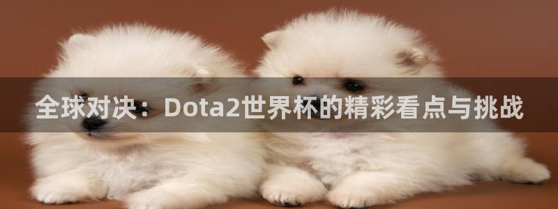 26世界杯：全球对决：Dota2世界杯的精彩看点与挑战