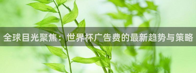 国际足联世界杯：全球目光聚焦：世界杯广告费的最新趋势与策略