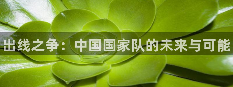 2026世界杯德国队阵容：出线之争：中国国家队的未来与可能