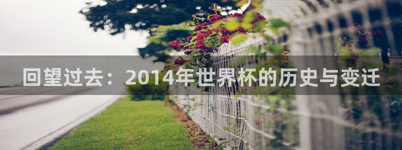 世界杯预选赛亚洲区积分榜：回望过去：2014年世界杯的历史与变迁