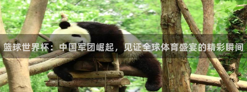 世界杯预选赛：篮球世界杯：中国军团崛起，见证全球体育盛宴的精彩瞬间