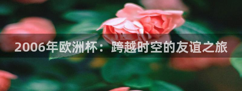2026世界杯亚洲预选赛：2006年欧洲杯：跨越时空的友谊之旅